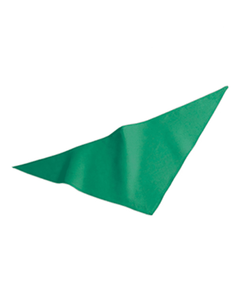 Bandana-Triangolare-Personalizzata-Tinta-Unita-PM185-verde-prato