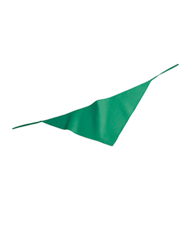 Bandana con lacci fini BYB188 19 Fazzoletto da collo con lacci fini BYB188 VERDE PRATO
