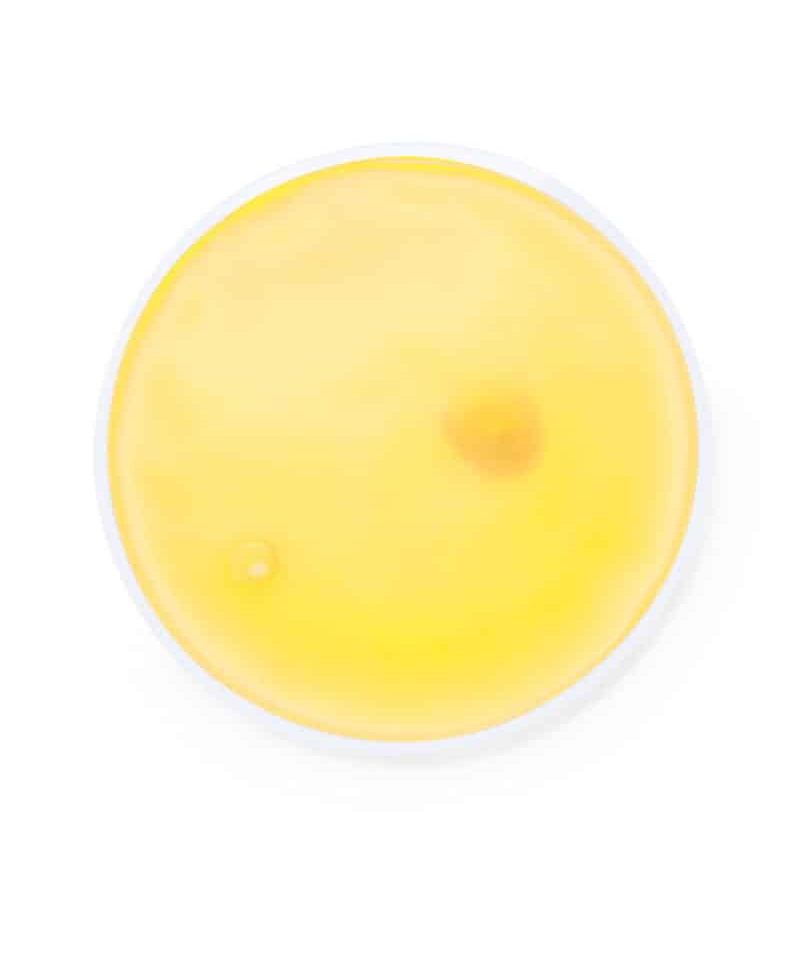 scaldamani-rotondo-giallo