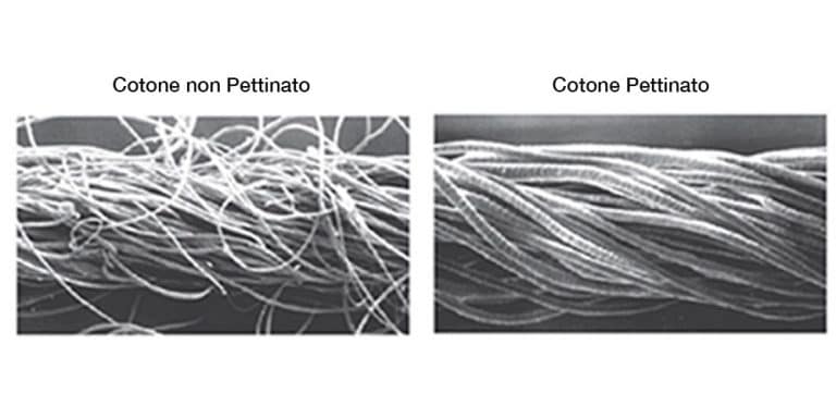 N6558 N6558 NINFEA 100% COTONE MAKO' PETTINATO LANA GATTO
