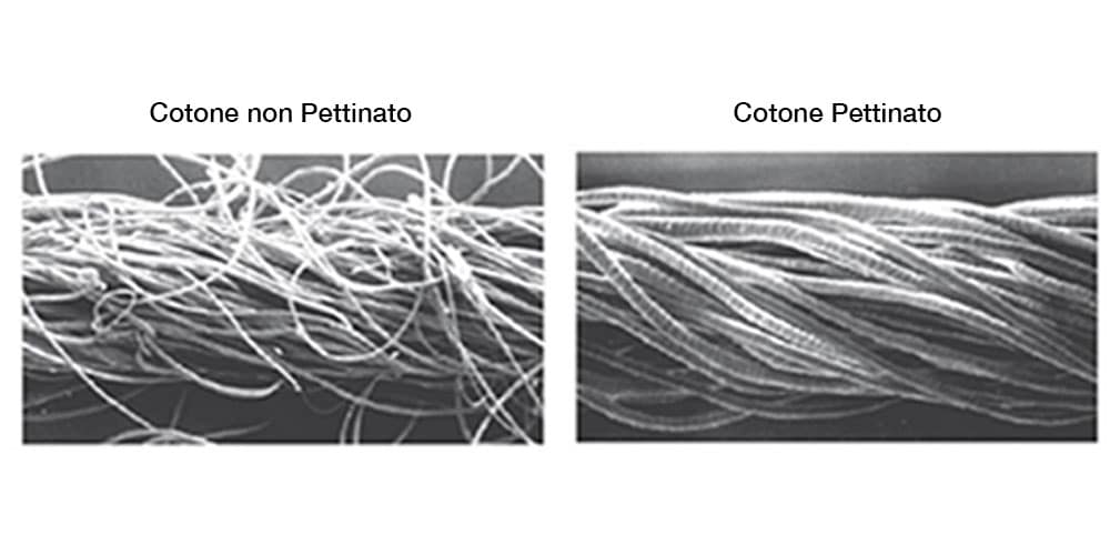 cotone pettinato cotone pettinato