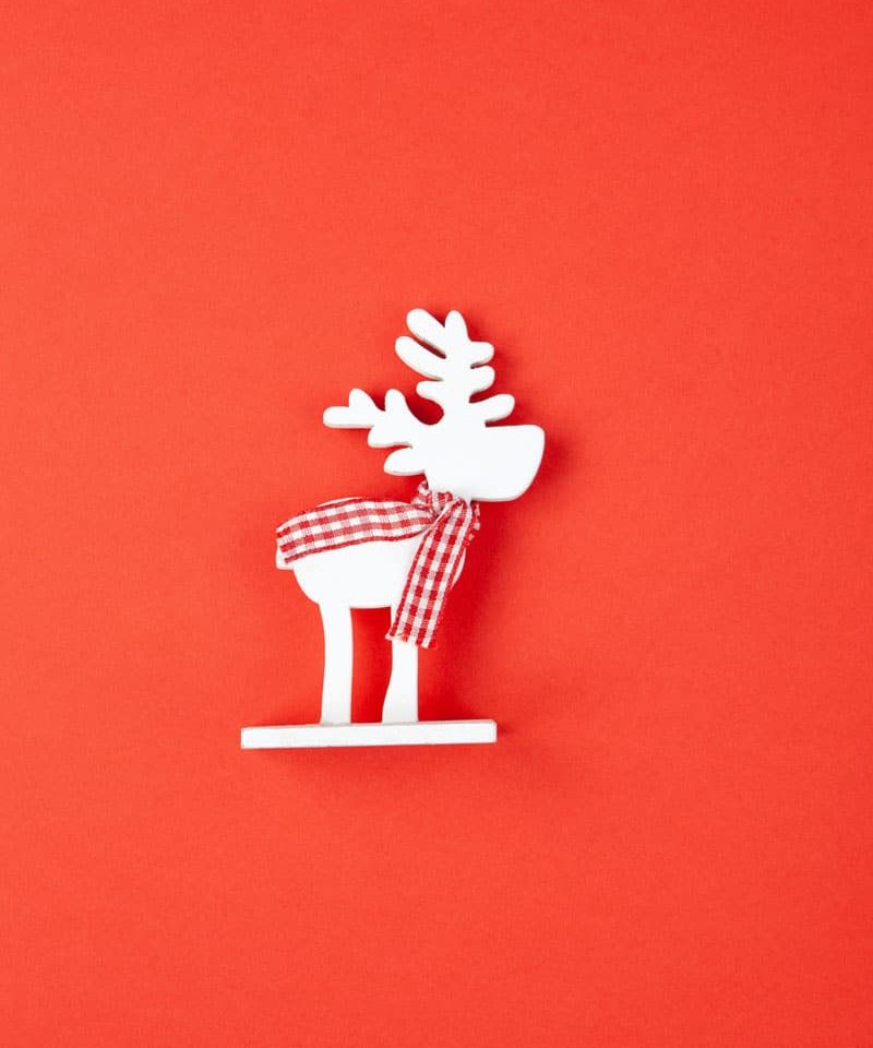 ARTICOLI NATALE